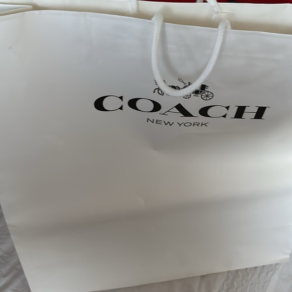 Large Y2k COACH Gift Bags Lot of 7 varieties - Picture 9 of 12